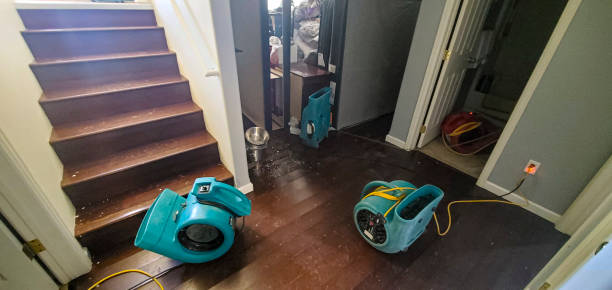 Best Flooded house restoration  in Twisp, WA