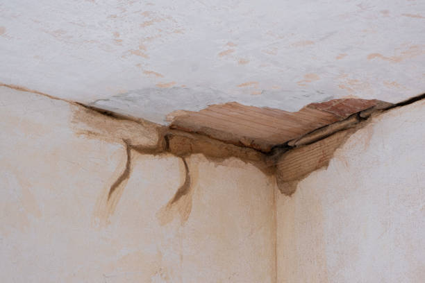 Best 24/7 water damage repair  in Twisp, WA