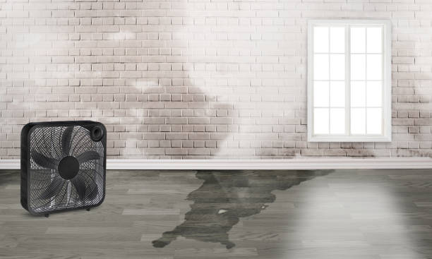 Water damage restoration insurance claims in WA