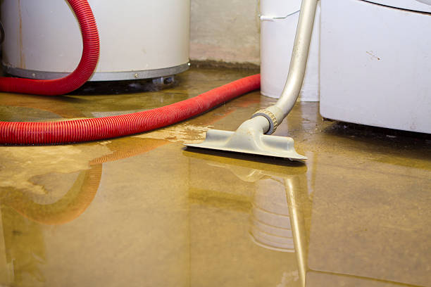 Best 24-hour water damage restoration  in Twisp, WA