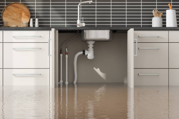 Best Basement water damage restoration  in Twisp, WA