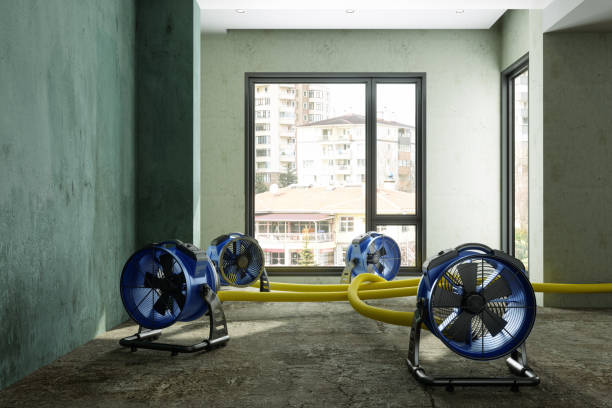 Best Water damage restoration near me  in Twisp, WA